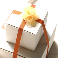 �������������������᡼��